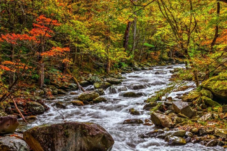 TravelTips-116999-CarlaAdams02