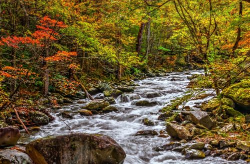 Sevierville Secrets Unlocked: Travel Tips for a Smoother, Better Trip