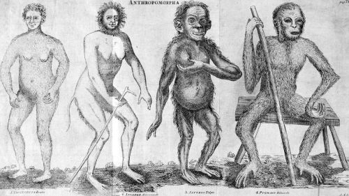 Classifying the Human: Carl Linnaeus and the Birth of Modern of Scientific Racism