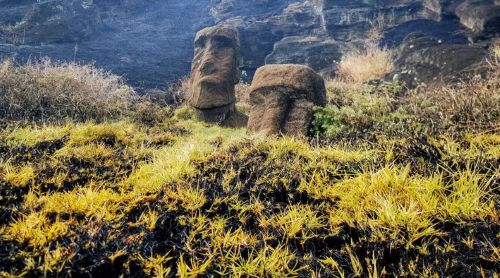 The Logic of No Return: Rapa Nui, Prestige Competition, and Ecological Drain
