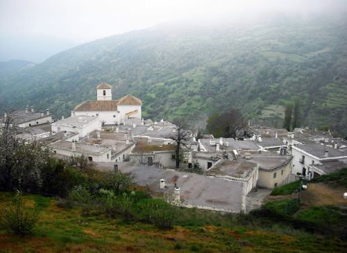 Sword of Orthodoxy: The Spanish Army and the Early Modern Enforcement of Catholic Uniformity