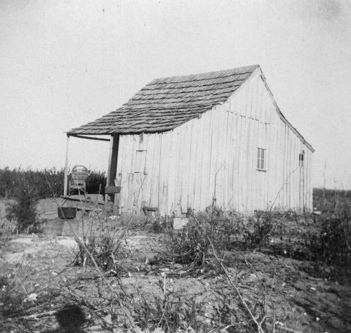 The Green Corn Rebellion and Rural Anti-Draft Resistance in 1917 America