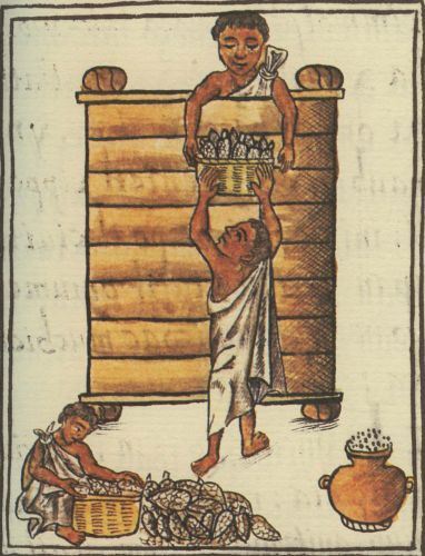 Pipiltin and Macehualtin: Nobility and Commoners in Aztec Society