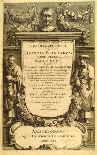 Ancient Pharmacists and Pharmacologists: Medicine, Trade, and the Foundations of Healing