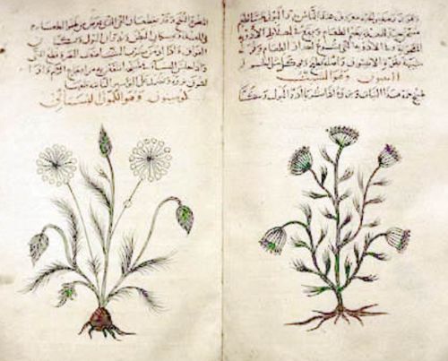 Ancient Pharmacists and Pharmacologists: Medicine, Trade, and the Foundations of Healing