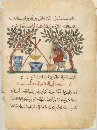 Apothecaries, Authority, and the Rise of Pharmacy in the Medieval Era