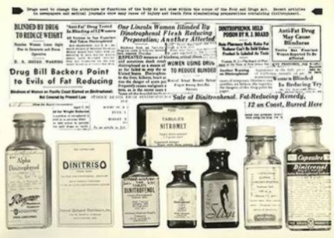 The Emergence and Development of Medical Transparency in the Modern World