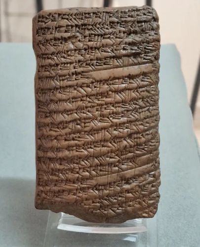 Rabies in the Ancient and Medieval Worlds: Fear, Medicine, and Fatal Disease