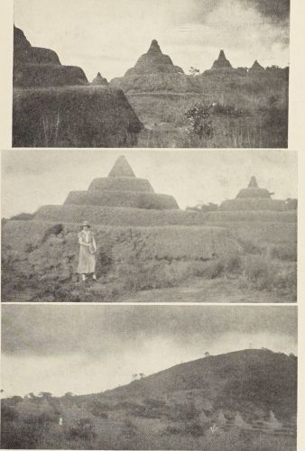 Pyramids Beyond Egypt: A Global History of Monumental Architecture