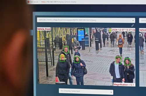 Facelift: Stolen Facial Data Recognition as a Growing Crisis