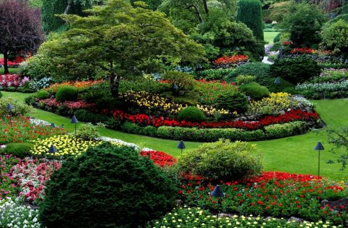 Smart Landscaping Ideas to Boost Curb Appeal Year-Round