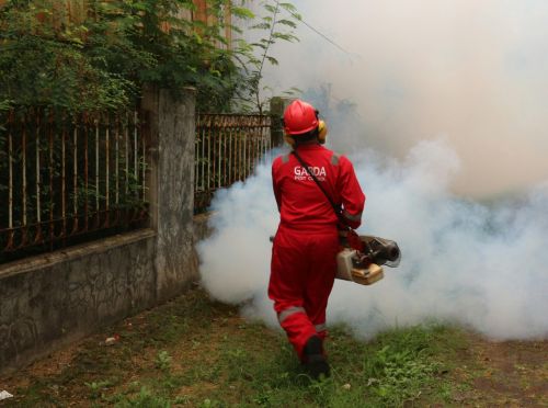 Why Businesses Should Take Pest Control Seriously Before Peak Season Hits