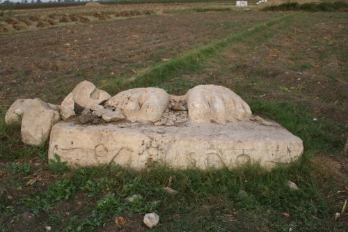 The Shaping of the Myth That Hebrew Slaves Built the Egyptian Pyramids 7 The feet of a Ramses II statue at Pi-Ramesses