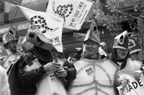The "turtles": environmentalist protestors in sea turtle costumes in Seattle (1999 WTO protest)