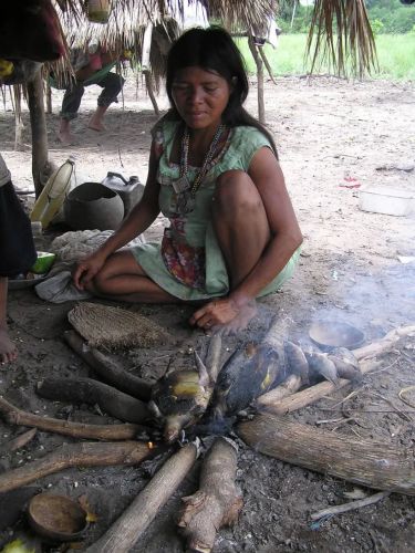 A Pumé woman singes a turtle and fish at a hearth prior to cooking