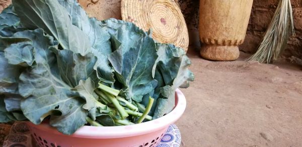 Collard Greens: A 10th-Century Recipe, a Cabbage Thief, and the Road to the American South