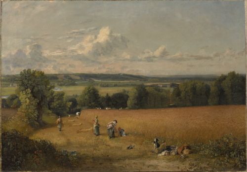 The Wheat Field by John Constable, 1816