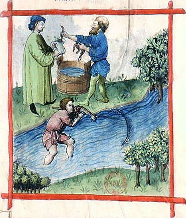 Fishing for lampreys in a stream; Tacuinum Sanitatis, 15th century