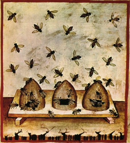 Beekeeping, Tacuinum sanitatis casanatensis (14th century)