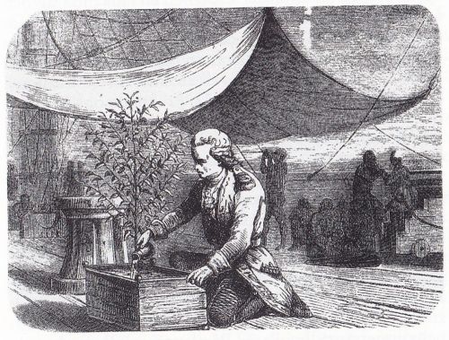 How Coffee Beans Reached America and Became an Atlantic Commodity of Empire 8 Gabriel de Clieu with coffee plant