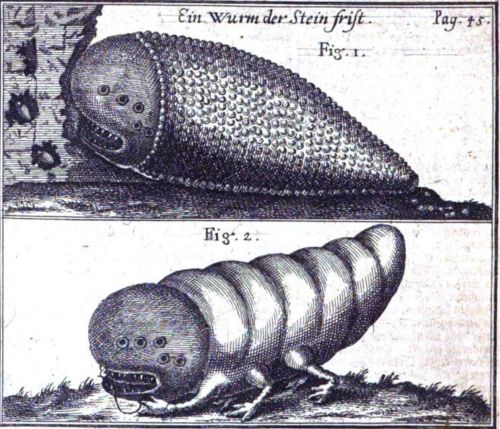 Solomon's shamir, according to Eberhard Werner Happel, 1707