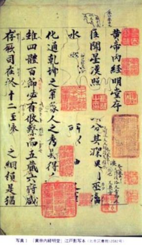 The Mediocre Doctor: Quacks, Fraud, and Medical Trust in Medieval China 4 Manuscript of the Huรกngdรฌ Nรจijฤซng