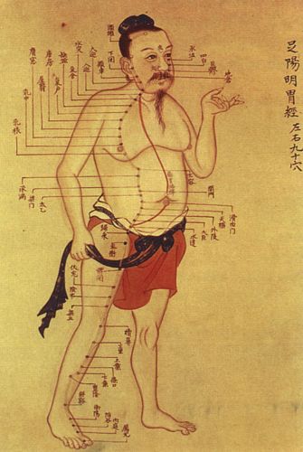The Mediocre Doctor: Quacks, Fraud, and Medical Trust in Medieval China 13 Old Chinese medical chart on acupuncture meridians