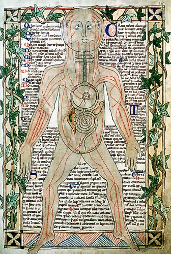 13th century anatomical illustration by Theodoric Borgognoni showing blood vessels