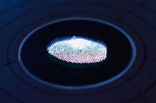 Understanding the Use of Fingerprints in Criminal Cases 2 Understanding the Use of Fingerprints in Criminal Cases