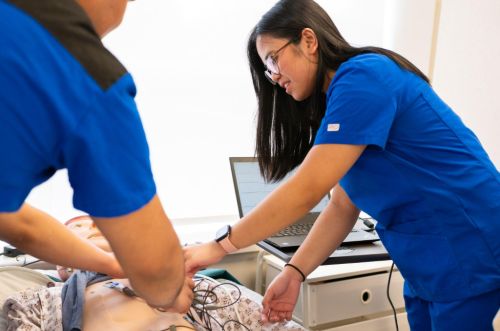 Top Educational Pathways for Nurses Looking to Expand Their Expertise