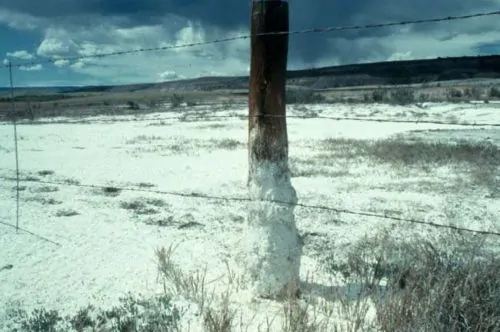Ancient Sumer and the Salt Disaster That Weakened the First Cities 6 Visibly salt-affected soils on rangeland in Colorado