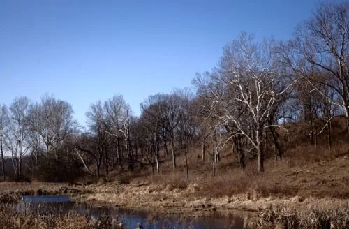 Prophetstown State Park