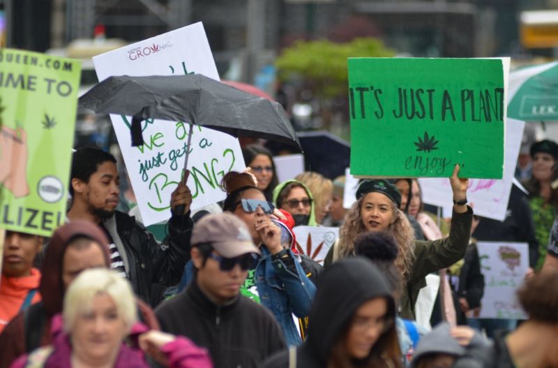 Cannabis Legalization Worldwide: Trends from Across the Globe