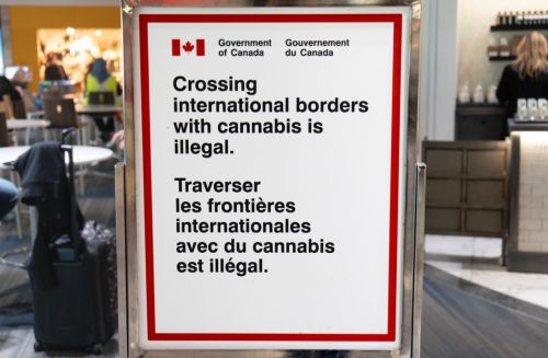 Cannabis Legalization Worldwide: Trends from Across the Globe