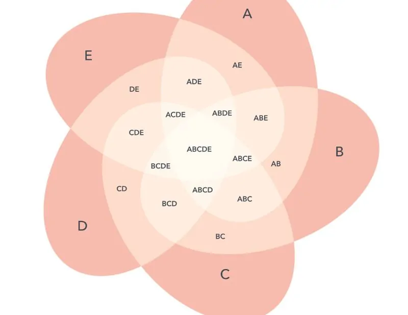 8 Practical Uses of Venn Diagrams for Students and Business Teams 2 8 Practical Uses of Venn Diagrams for Students and Business Teams