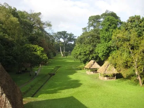 The Great Plaza of Quiriguá, originally laid out by K'ak' Tiliw Chan Yopaat; view is from the acropolis looking north