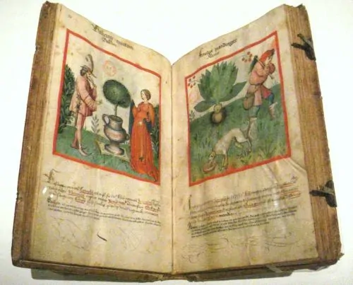 Ibn Butlan's Tacuinum sanitatis, 2nd half of 15th century, Rhineland