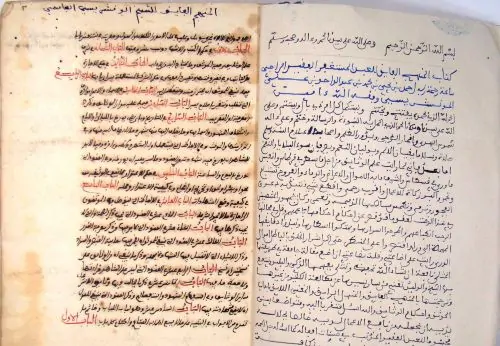 Part of The Supreme Method and the Pure Source on the Rules of Notarization by al-Wansharisi