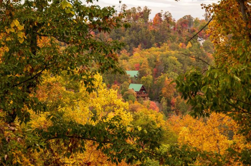 How to Plan a Smoky Mountains Family Trip Without the Usual Stress 2 How to Plan a Smoky Mountains Family Trip Without the Usual Stress