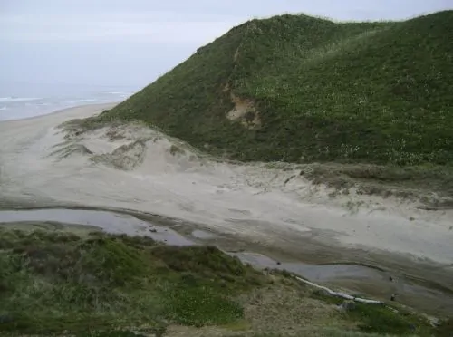 The mouth of Moremonui Gully viewed from the southern side, with battle monument at lower right