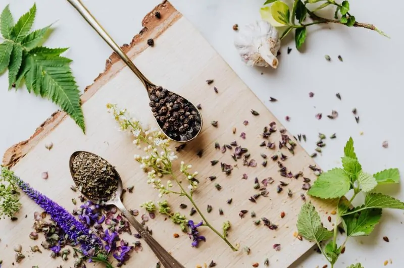 The Top Medicinal Herbs Used Throughout History