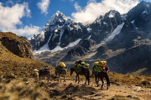 Andean glaciers are disappearing as global temperatures rise. Peru lost over half its glacier surface area in the past half-century.