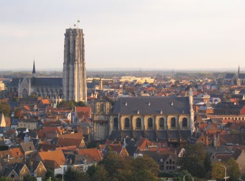 View of Mechelen with St. Rumbold's Cathedral on the far left