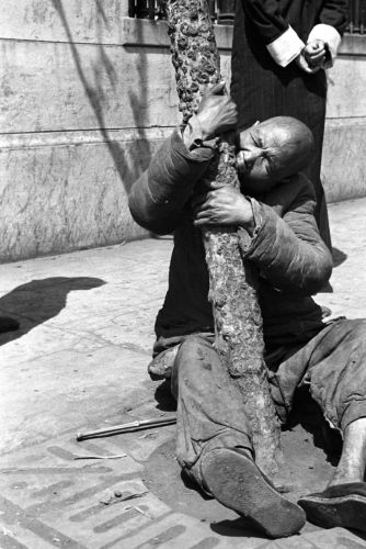 Famine victim crazed with hunger gnaws bark from tree