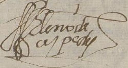 The signature of Eleno de Céspedes on an Inquisition trial document