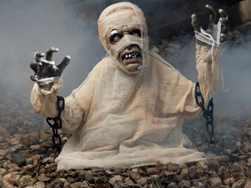 How Outdoor Halloween Decorations Can Transform Your Yard Display